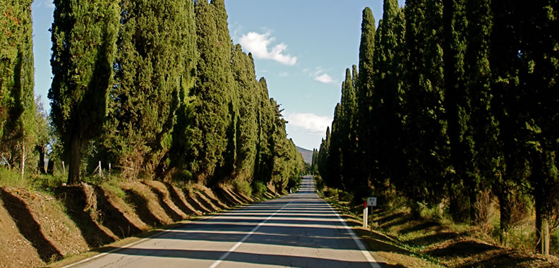 Discover Bolgheri Wine in Italy - Rolling Hills Francesco Conforti