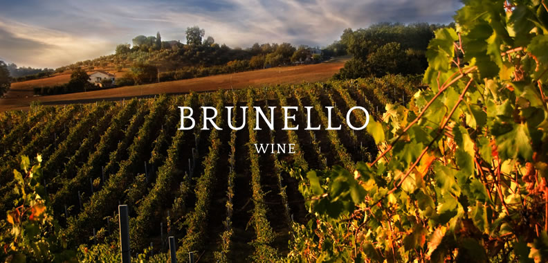 Discover Brunello Wine in Italy - Rolling Hills Francesco Conforti