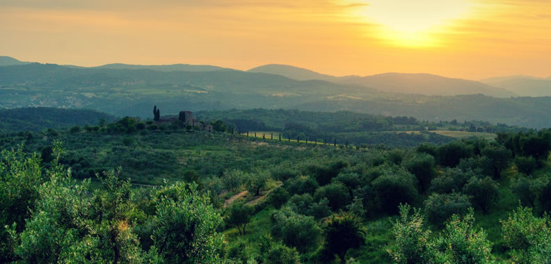 Discover Chianti Wine in Italy - Rolling Hills Francesco Conforti